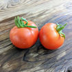 Smoky Mountain Tomato