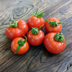 Smoky Mountain Tomato