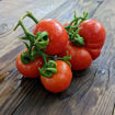 Smoky Mountain Tomato