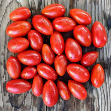 Mini Amish Paste Tomato Mini Amish Paste Tomato