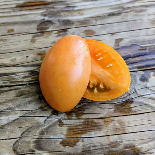 Orange Icicle Paste Tomato