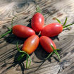 Pink Icicle Paste Tomato