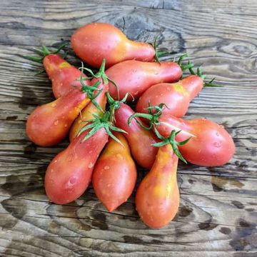 Sibirsky Khottabych Paste Tomato Sibirsky Khottabych Paste Tomato