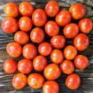 A Grappoli Corbarino Round Longkeeper Tomato