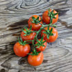 Annarita Longkeeper Tomato