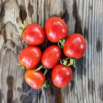 Canne Torre Longkeeper Tomato Canne Torre Longkeeper Tomato