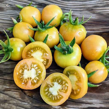Crispiana Longkeeper Tomato Crispiana Longkeeper Tomato