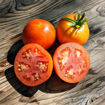 Gift of Autumn Longkeeper Tomato