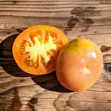 Ramallet Rodona Longkeeper Tomato Ramallet Rodona Longkeeper Tomato