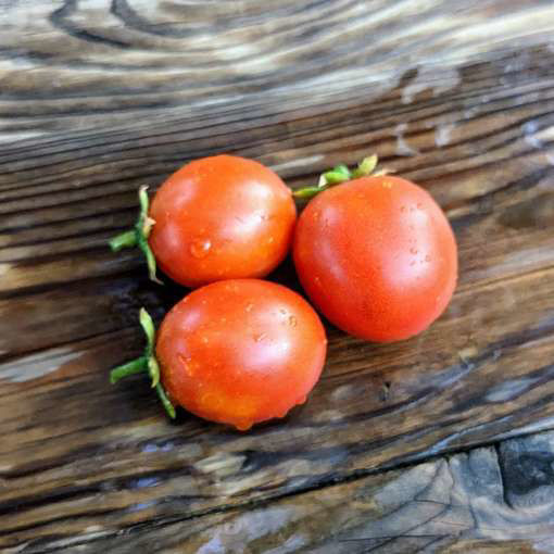 Re Umberto Longkeeper Tomato