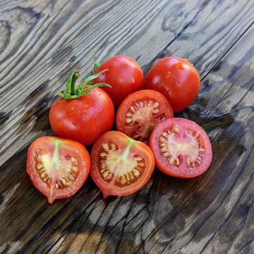 Tondo con Pizzo Longkeeper Tomato Tondo con Pizzo Longkeeper Tomato