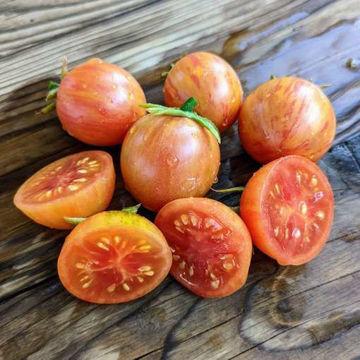 Artisan Pink Bumble Bee Cherry Tomato Artisan Pink Bumble Bee Cherry Tomato