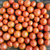 Artisan Pink Bumble Bee Cherry Tomato