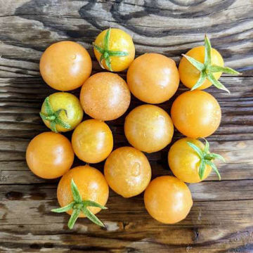 Gajo de Melon Cherry Tomato Gajo de Melon Cherry Tomato