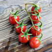 Annie's Singapore Cherry Tomato