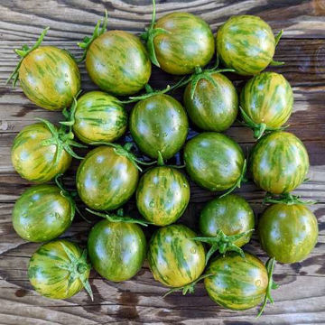 Artisan Green Bumblebee Cherry Tomato Artisan Green Bumblebee Cherry Tomato