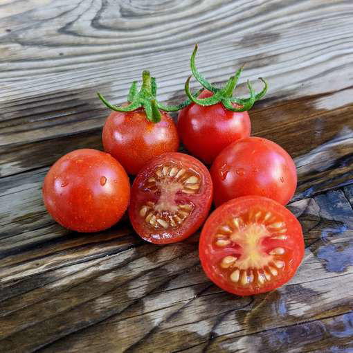 Casino Chips Cherry Tomato