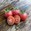 Dr. Carolyn Pink Cherry Tomato