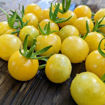 Gnocchi di Limon Cherry Tomato