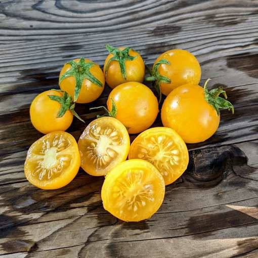 Hartman’s Yellow Gooseberry Cherry Tomato