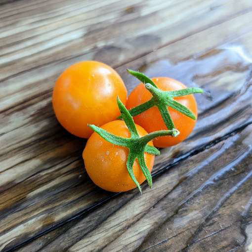 Lilith Cherry Tomato