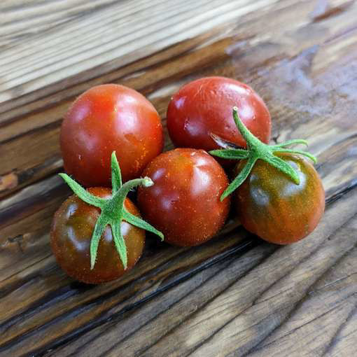 Paulina’s Secret Cherry Tomato