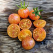 Tropical Sunset Cherry Tomato