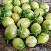 Verde Claro Cherry Tomato