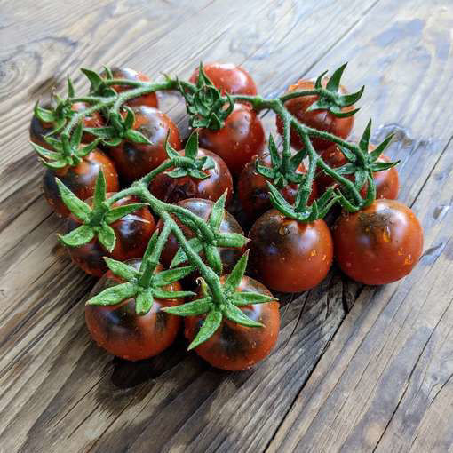 Blevio Cherry Tomato