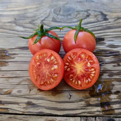 Christmas Purple Grape Cherry Tomato