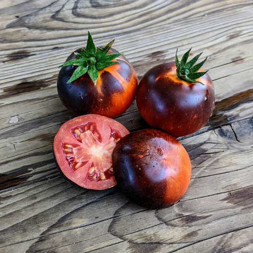 Mooncalf Cherry Tomato