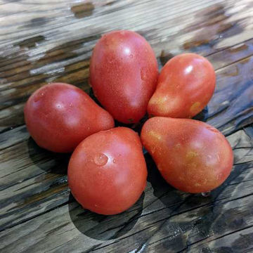 Raspberry Sugary Plum Cherry Tomato Raspberry Sugary Plum Cherry Tomato