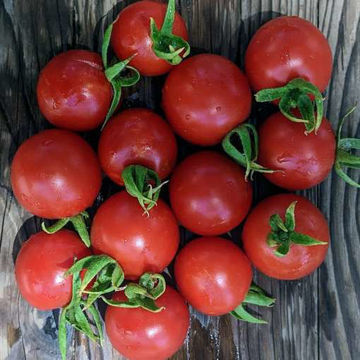 Resibella Cherry Tomato Resibella Cherry Tomato