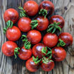 Sunshine Blue Cherry Tomato