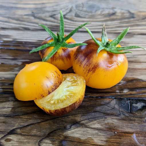 Violette Starkirsche Cherry Tomato