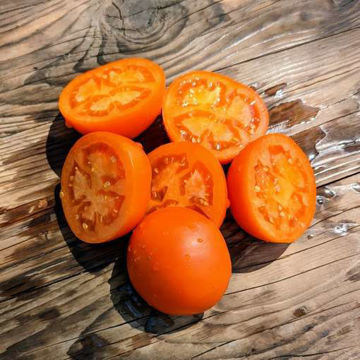 Moonglow Tomato Moonglow Tomato