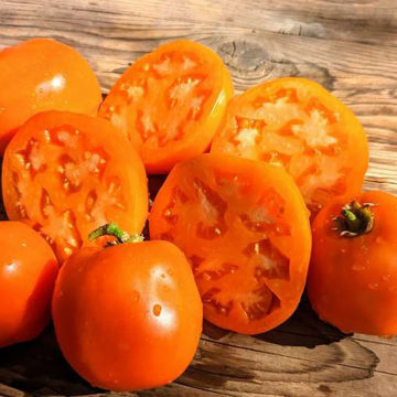 Orange Crimea Tomato Orange Crimea Tomato