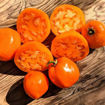 Orange Crimea Tomato