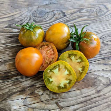 Bayou Sun Tomato Bayou Sun Tomato