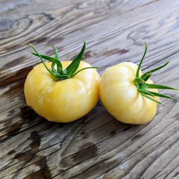 Bolshoi Plombir Tomato Bolshoi Plombir Tomato