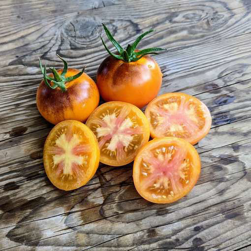 Blue Gold Tomato