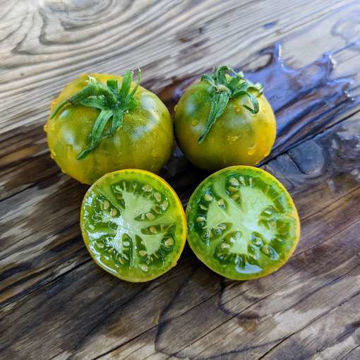 Chadd’s Ford Green Tomato Chadd’s Ford Green Tomato