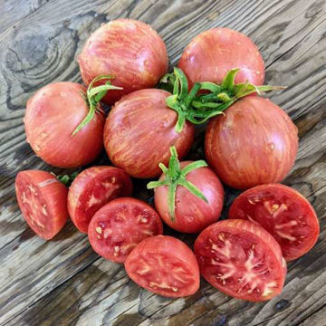 Dark Queen NOT Tomato Dark Queen NOT Tomato