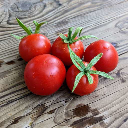 Deutscher Fleiss Tomato