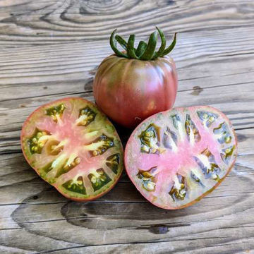 Evans Purple Tomato Evans Purple Tomato