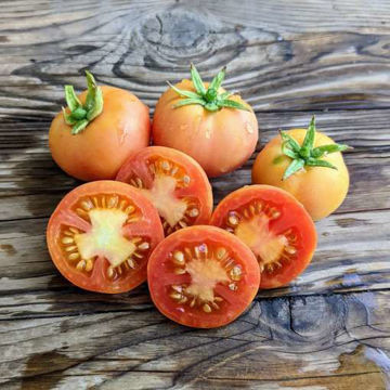 Isole Eloie Tomato Isole Eloie Tomato