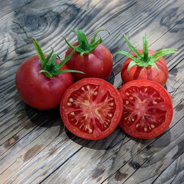 Opal Essence Tomato Opal Essence Tomato