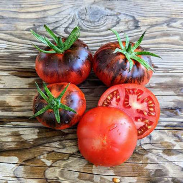 Peach Blow Sutton Blue Tomato Peach Blow Sutton Blue Tomato