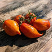 Pink Flamingo Striped Tomato