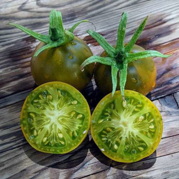 Queen Aliquippa Tomato Queen Aliquippa Tomato